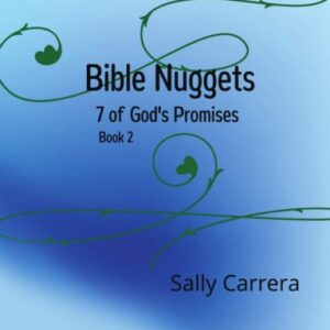Bible Nuggets: 7 of God's Promises Hardcover