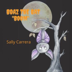 Boaz the Bat: "Boom" Hardcover